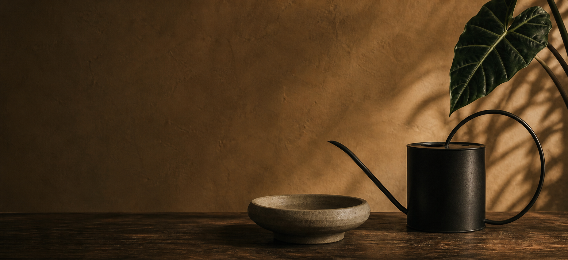 A black watering can and stone bowl in warm late-afternoon light